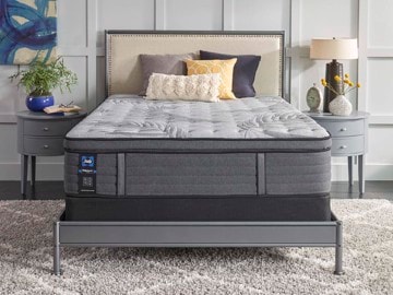 Bedroom with a gray bedframe and mattress and pillows